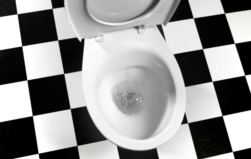 Should you flush with toilet lid up or down? Study says it doesn’t