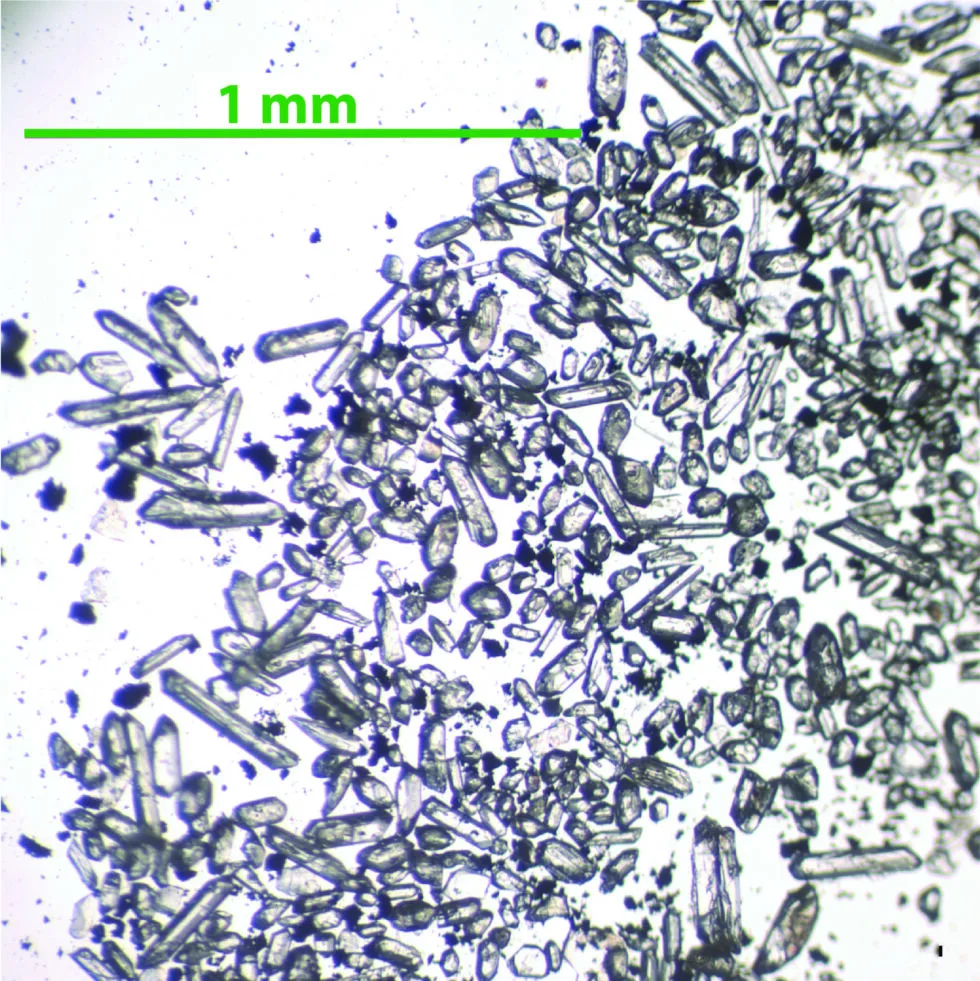 Tiny clocks: Zircon crystals from volcanic ash that fell into the Caribbean Sea during the Miocene.