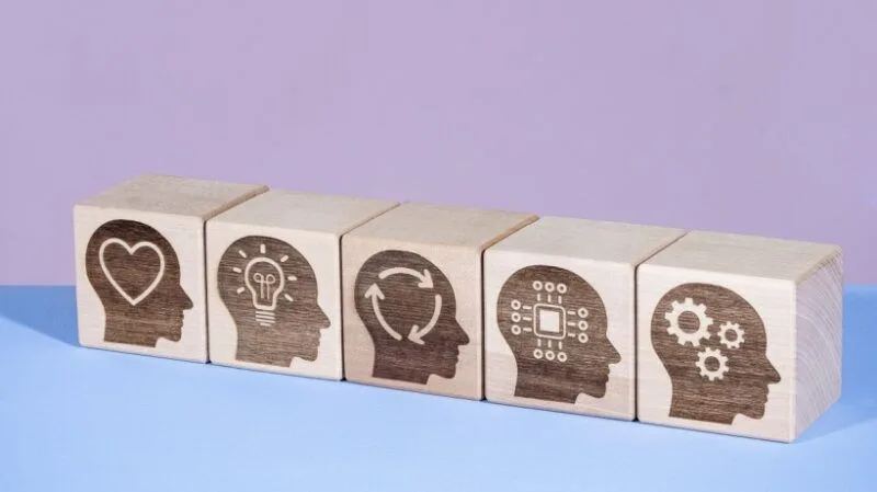Top Soft Skills Examples To Master In 2025 800x449 1 jpg