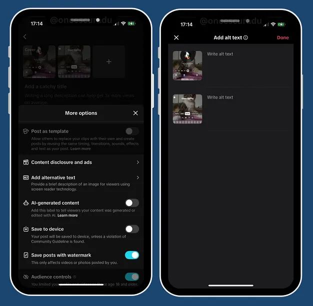 TikTok alt text