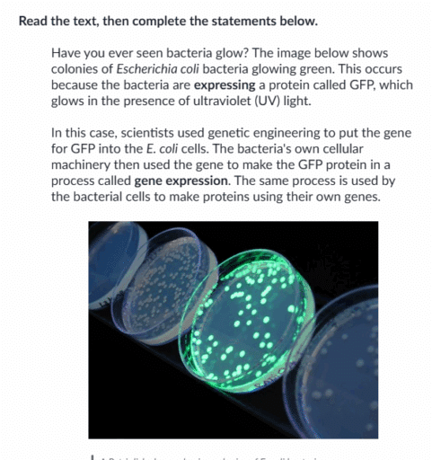 How to Teach High School Biology This Year—Without Starting from Scratch 19 Screenshot 2025 07 15 122507 481x512 1