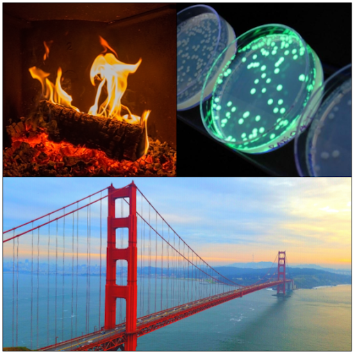 Everything You Need for Science Class—Free on Khan Academy 7 Science 2